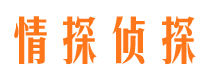 宁江市侦探公司